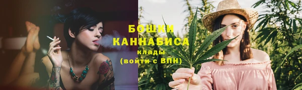первитин Богданович