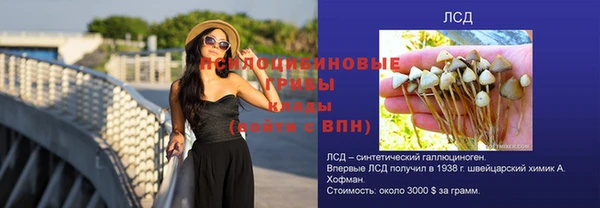 эйфоретик Белокуриха