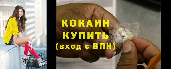 первитин Богданович