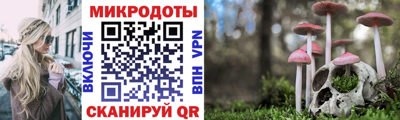 Галлюциногенные грибы GOLDEN TEACHER KRAKEN как войти Богородск